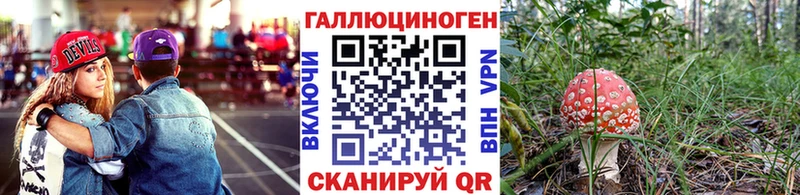 blacksprut ссылки  как найти наркотики  Сокол  Галлюциногенные грибы Cubensis 